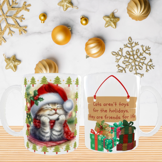 Christmas gift with cat