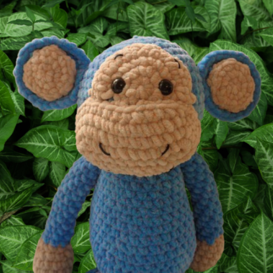 DSC05716-removebg-preview