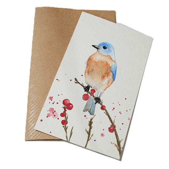 eastern bluebird